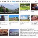 스토리수 | [TIL / 티스토리 운영] 어떤 블로그주제가 다음메인에 등록될까?