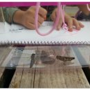 화포천마을 이미지