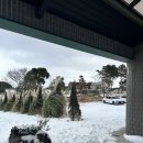 우정원 | [제주도카페후기]_우정원베이커리