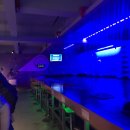 하양낚시 이미지