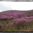 산장민박 이미지