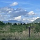 을숙도 자전거 무료대여소 이미지