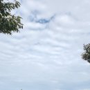 359/ 안성시고성산268m 이미지