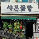 샤론꽃방 네이버블로그