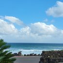 제주 토브 이미지