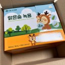 맑은물유치원 | 어린이 비염 관리 음식 한동 키즈튼튼 맑은숨 녹용 아이와 함께 먹어본 후기