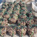 연아수산 이미지