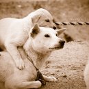 제눈에안경 이미지