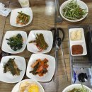 양이와 찬이네집 | 춘장대해수욕장 맛집 찬이네 내돈내산
