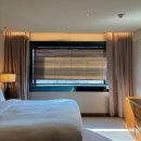 호텔루나 | 신라호텔 디럭스 더블 객실 호캉스 및 2026 루나쇼타임 솔직 후기