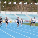 울진종합운동장 이미지