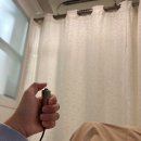 햇빛동물병원 | (37주) 햇빛병원 태동검사·요단백 검사·내진, GBS 검사까지 후기