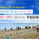 콘도형고향민박 이미지