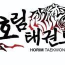 호림태권도 이미지