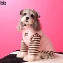 베베도그 이미지