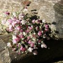 죽장한의원 이미지