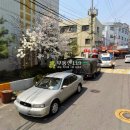 시흥대로149길 이미지