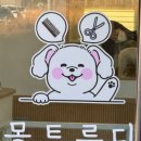 몽트루디 이미지