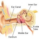 덴마크보청기 이미지