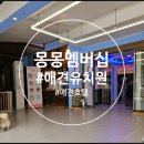 몽몽이 애견미용 | 애견 유치원+호텔 몽몽이멤버십으로 저렴하게