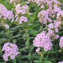 잠실공원 이미지