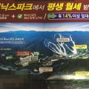 (주) 휘닉스미디어