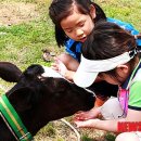 유쾌한축산 이미지