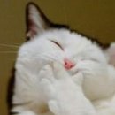 다쌈유통