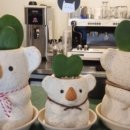 카페늘봄 이미지