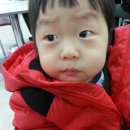 하나로푸드 네이버블로그