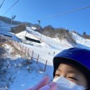 서영렌탈 이미지
