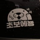 소나기밥 | 주간일기 83. 추석 연휴까지 존버