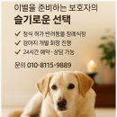 삼동로 | 울산강아지화장｜마지막 배웅을 위한 절차와 후기 안내