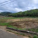 경남고성토지매매...대가면 마을 앞쪽 도로 여건 좋은 농업보호구역 논 매매 이미지