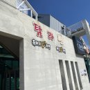 탐라휴가(休家) | 여름 제주 | 제주여행 2일차 - 탐라면, 랜디스도넛, 판포포구, 월령해변, 호텔스카브로, 난드르바당