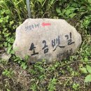 소금뱃길 이미지