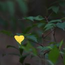 풀잎마을 이미지