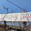 부잣집보쌈 이미지