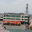 한식청명