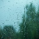 비베스트 이미지