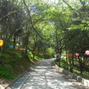 4호근린 너른 고향 들 | 오산의 꿀단지를 거닐다 ~~~ 보적사에서 독산성, 세마대, 고인돌공원까지 (경기도 삼남길7코스, 금암리...
