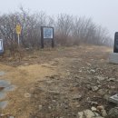 경북 영천 보현산 상봉(1,126m), 시루봉(1,124m) 최단코스 산행 #2 이미지