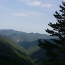 영차주유소 이미지