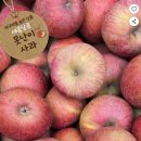 가정웰빙요리 | 집에서 부담 없이 즐기는 '아침앤과일 가정용 사과' 후기