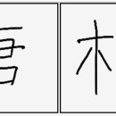 뿌리근