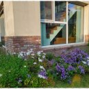 피츠로이가든 이미지