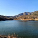 진등농장 이미지