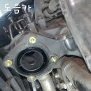 달전카센타 이미지