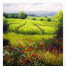 초원의 빛 이미지