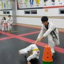 태권도활천도장 이미지